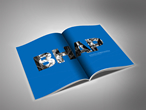 樣本畫冊(cè)
